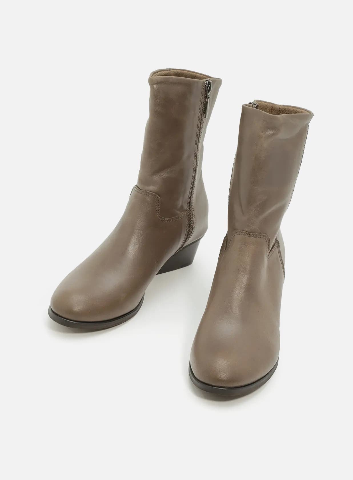 גוליה-מגפון-מבריק-עקב-4